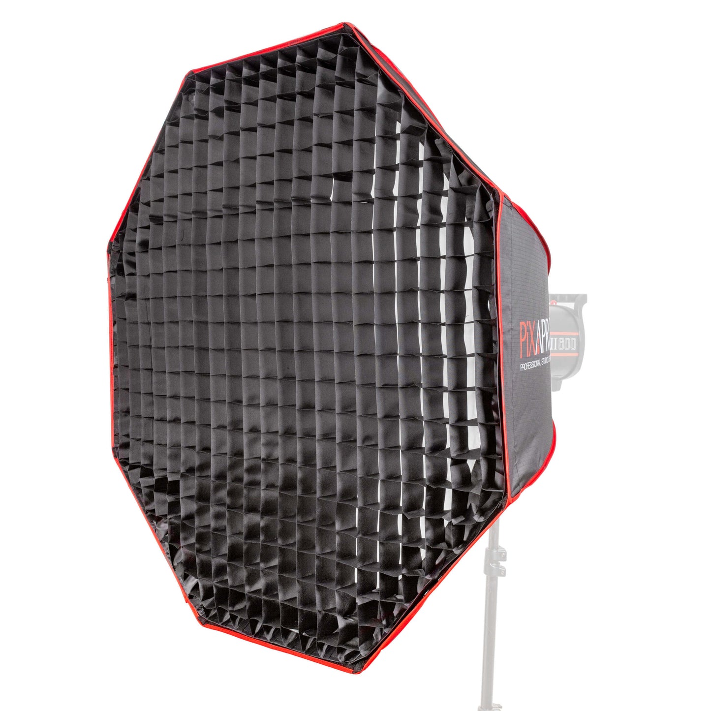 Godox LE300Bi Newborn Photography LED Studio Kit – Complete Posing & Continuous Lighting Bundle