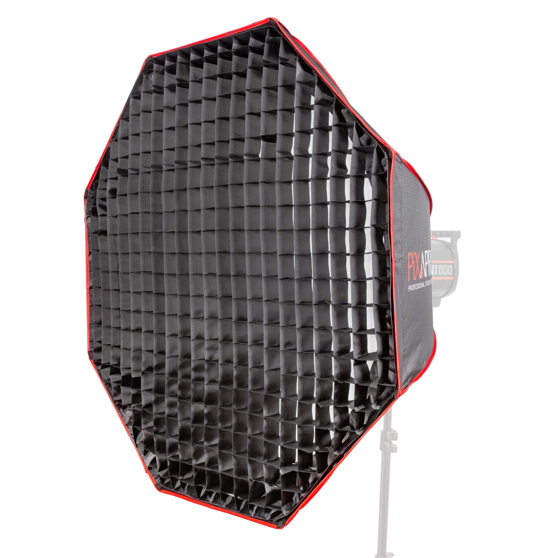 Godox LE300Bi Newborn Photography LED Studio Kit – Complete Posing & Continuous Lighting Bundle