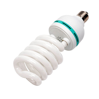 E27 Light Bulb 
