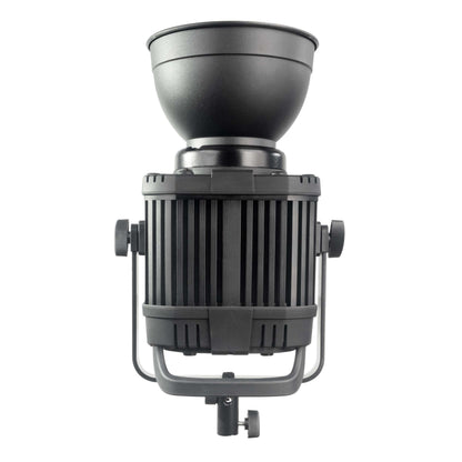 LED200B MKIII with 150cm Softbox and 300cm Stand