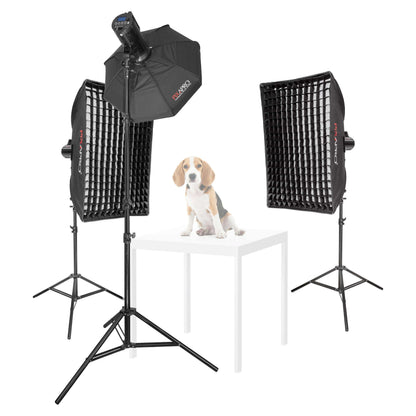 LUMI200II 3-Head LED Strobe Light Pet Portrait Photography Kit 