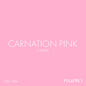 Carnation Pink Seamless Paper Creative Background Kit