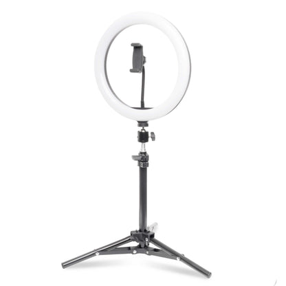 PixaPro 10" Large LED Ring Light with Stand & Smartphone Mount