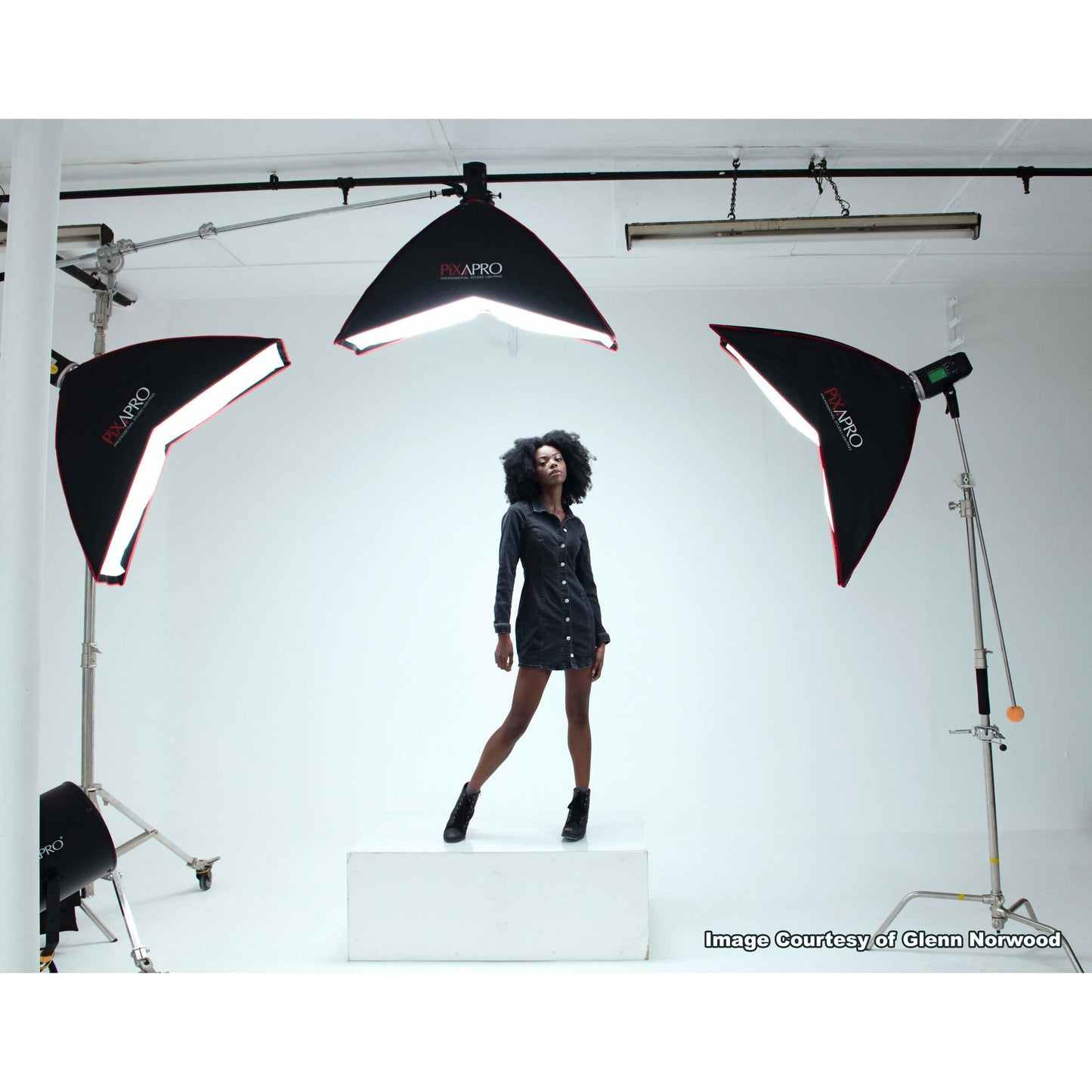 Image Taken Using 35x120cm (13.7"x47.2") Arc Strip Umbrella Softbox