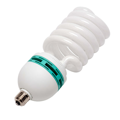 LED Light Bulb 