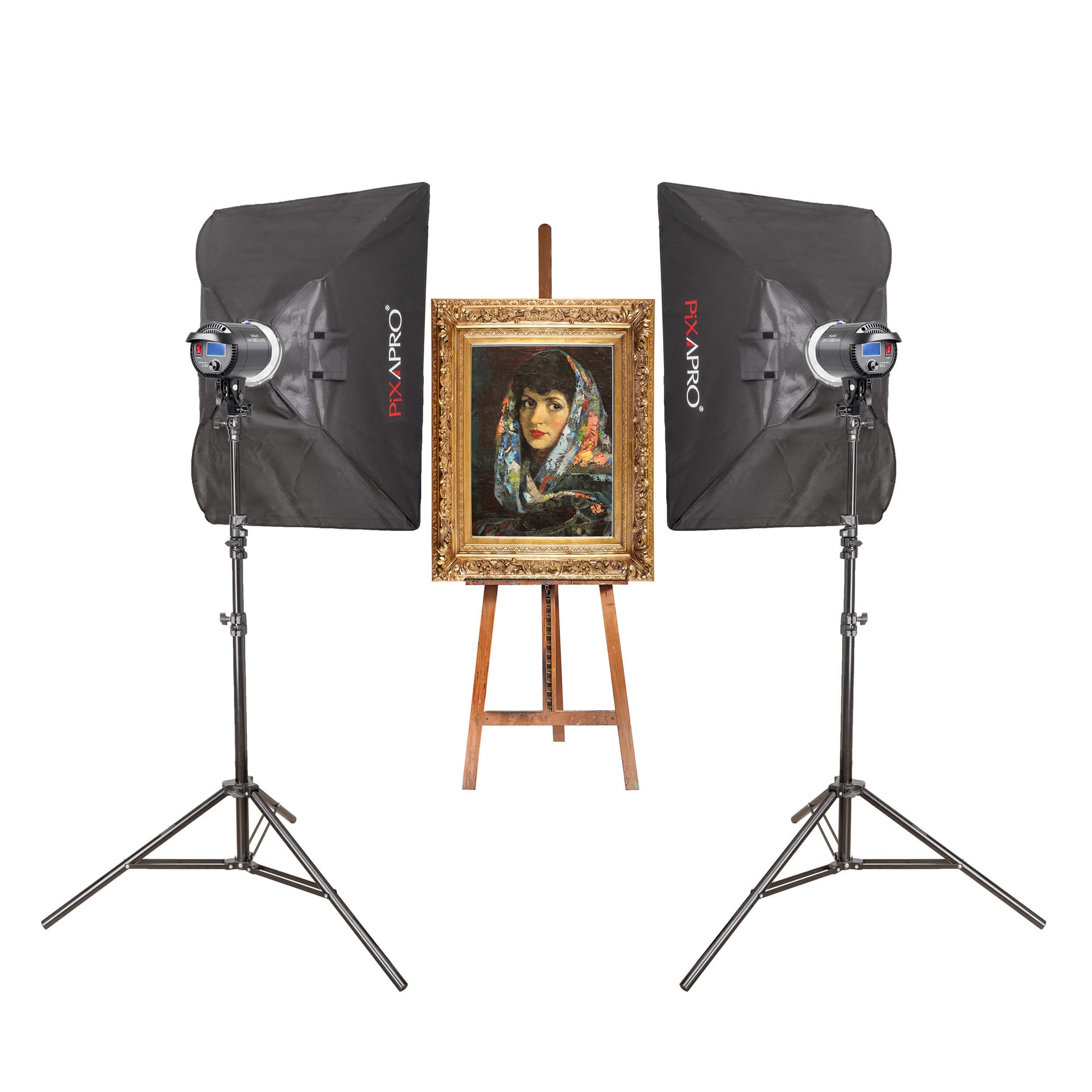 Daylite60D Battery-Operated LED Light for Painting Photography