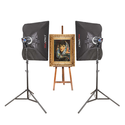 Daylite60D Battery-Operated LED Light for Painting Photography