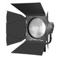 FLS10 10" Fresnel Lens 