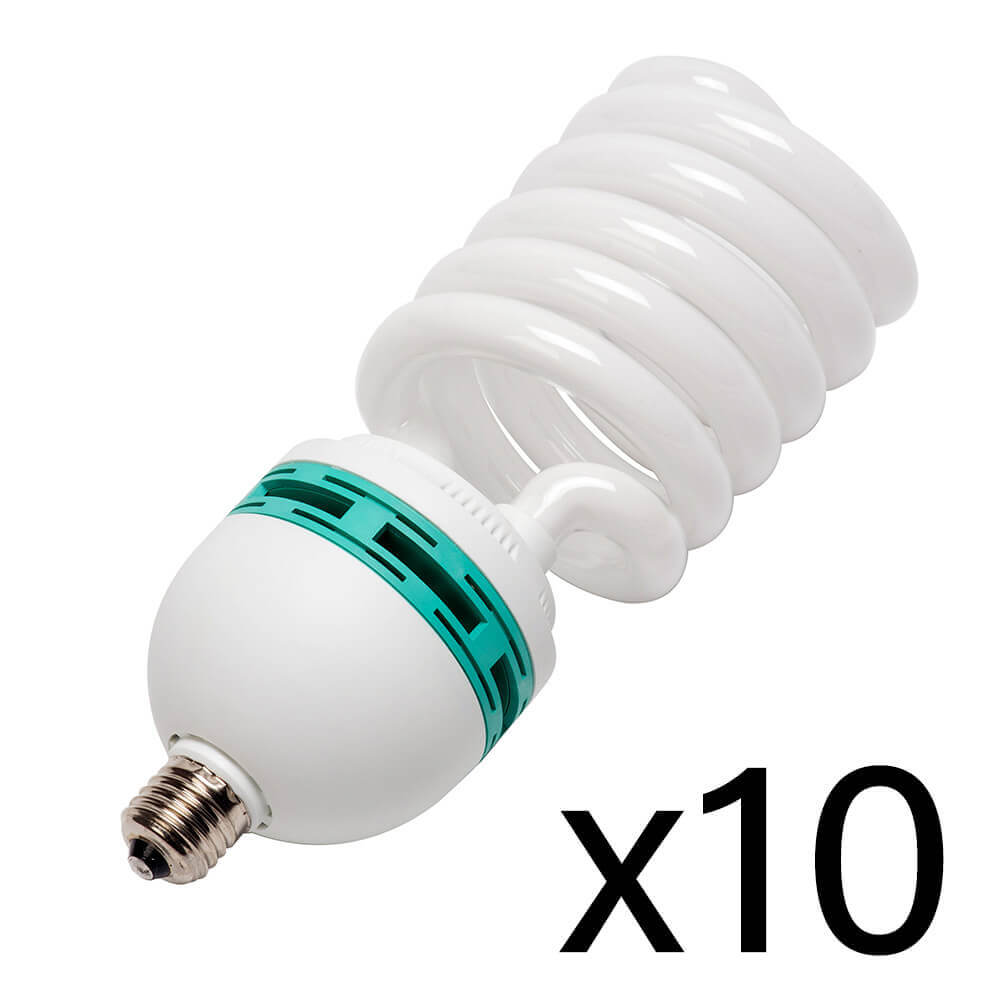105W Daylight-Balance Compact Fluorescent Photo Light Bulb