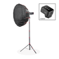 Rapid AD200Pro II Portrait Flash Kit