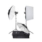 SK300II-V Dual Studio Flashes Kit
