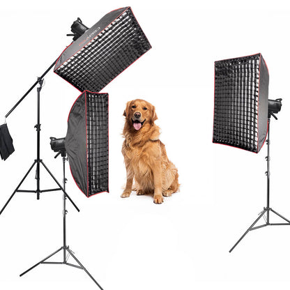 MS300V Indoor Studio Flash Lighting Kit for Pet & Animal Photography – Complete Professional Bundle