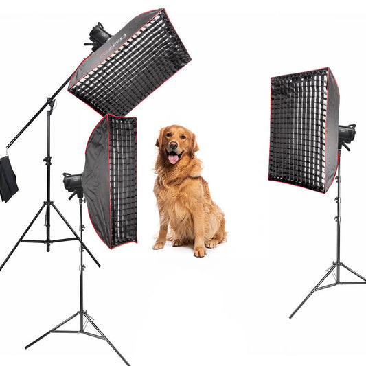 MS300V Indoor Studio Flash Lighting Kit for Pet & Animal Photography – Complete Professional Bundle