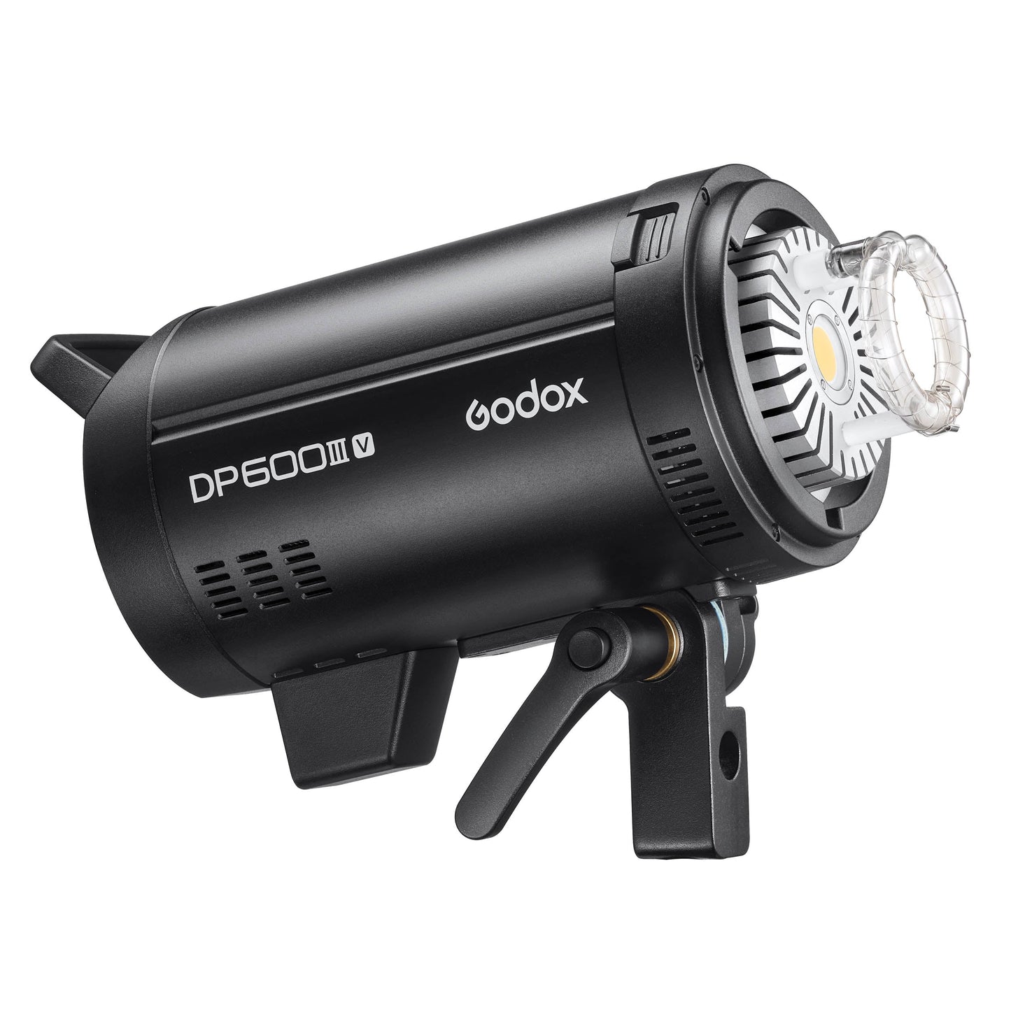 Godox DP600III-V Dual Photo Studio Strobe Flash Lighting Kit 