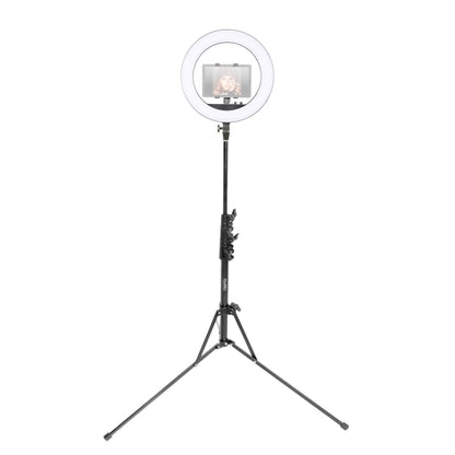 Tablet & iPad Video Recording Ring Light Kit with Stand & Mount