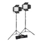 Godox Litemons LP600BI Bi-Colour LED Continuous Twin Lighting Kit