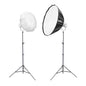GODOX Litemons LA600BI Bi-Colour LED Twin Video Lighting Kit