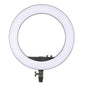 Godox
LR160 19" Bi-Colour LED Ring Light