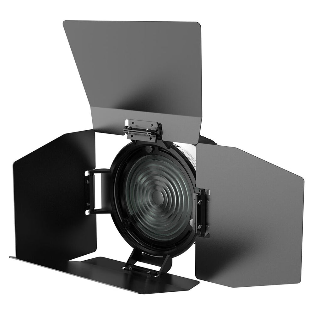 DigitalFoto Bowens Mount Fresnel Lens with Barndoors