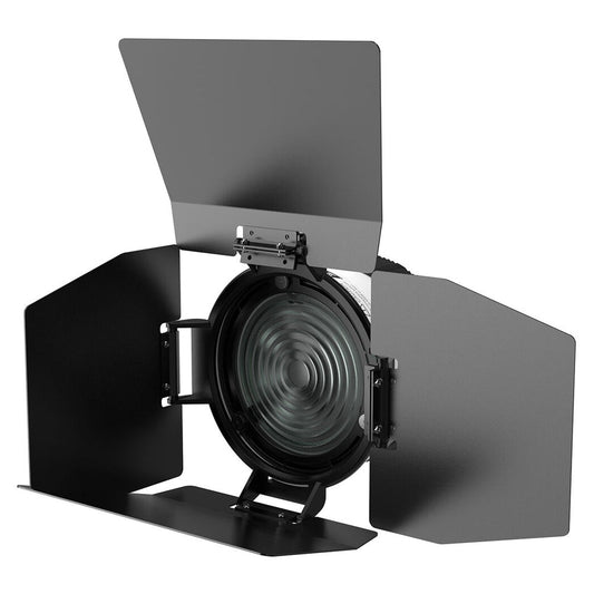 DigitalFoto Bowens Mount Fresnel Lens with Barndoors