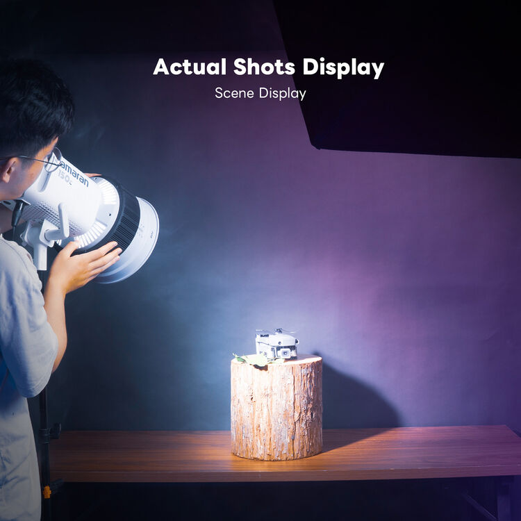 DigitalFoto DF-20 Bowens-Fit Fresnel 