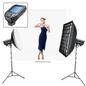 Godox DP400IIIV College Educational Photography Twin Flash Starter Kit Fuji