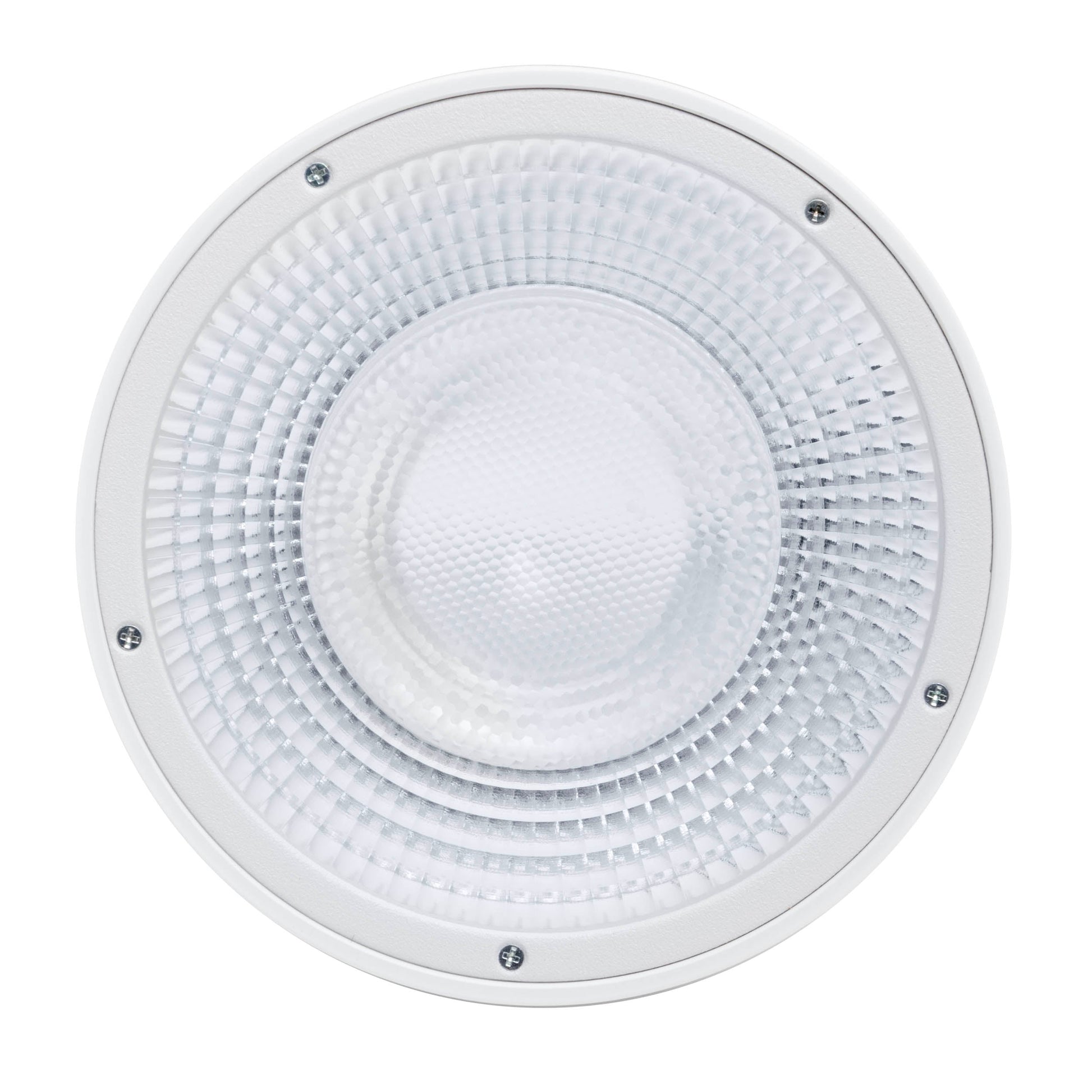 ML-L36 Godox Fitting Lens Reflector Front View