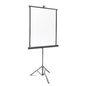 PiXAPRO 78x132cm White Retractable Photo-ID backdrop with stand