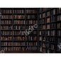 2x3m Library Bookshelf Books Studio Photography Backdrop