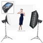 Godox DP400IIIV College Educational Photography Twin Flash Starter Kit Olympus Panasonic