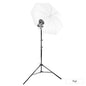 V860III Single Flash Lighting Kit with 40" Umbrella & Stand