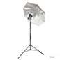 V480 Speedlite Single Flash Photography Lighting Kit