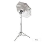 Godox V480 Speedlite Single Flash Photography Lighting Kit with Black/Silver Umbrella Sony