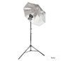 V480 Speedlite Single Flash Photography Lighting Kit