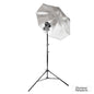 V480 Speedlite Single Flash Photography Lighting Kit