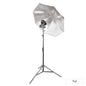 Godox V480 Speedlite Single Flash Photography Lighting Kit with Black/Silver Umbrella Fuji