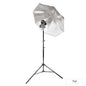 V480 Speedlite Single Flash Photography Lighting Kit