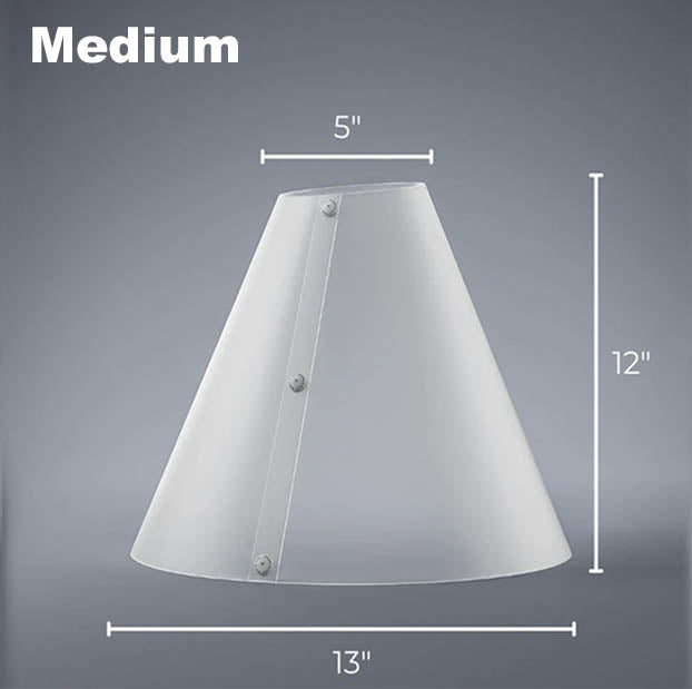Dimensions of the Medium Light Diffusion Cone 