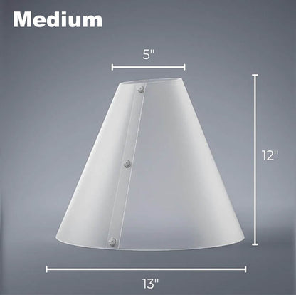 Dimensions of the Medium Light Diffusion Cone 