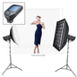 Godox DP400IIIV College Educational Photography Twin Flash Starter Kit Sony